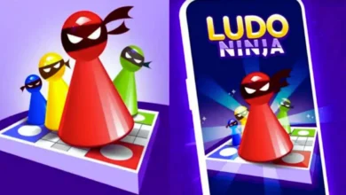 ludo ninja